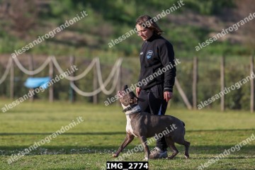 IMG_2774.jpg