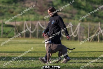 IMG_2779.jpg