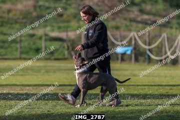 IMG_2787.jpg