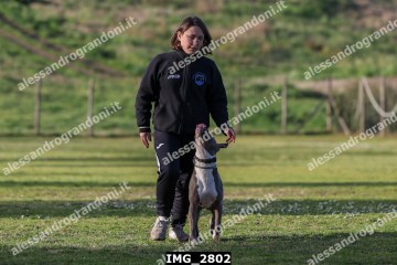 IMG_2802.jpg