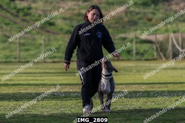 IMG_2809.jpg