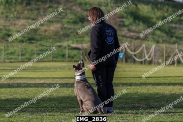 IMG_2836.jpg