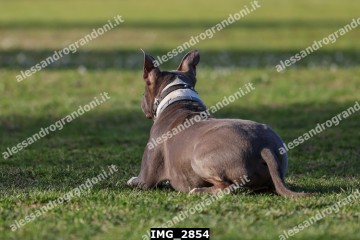 IMG_2854.jpg