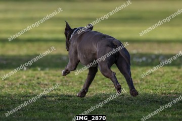 IMG_2870.jpg