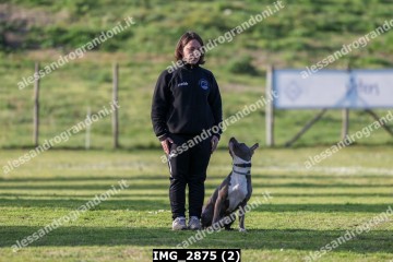 IMG_2875 (2).jpg