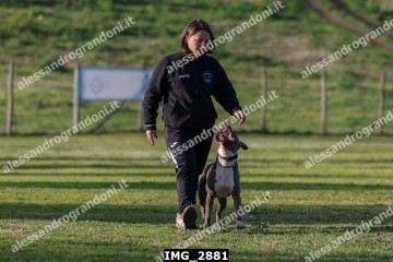 IMG_2881.jpg