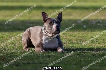 IMG_2906.jpg