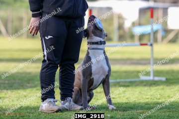 IMG_2918.jpg
