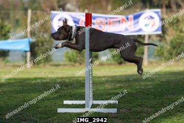 IMG_2942.jpg
