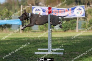 IMG_2944.jpg