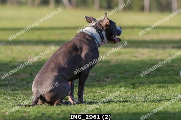 IMG_2961 (2).jpg