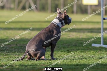IMG_2977.jpg