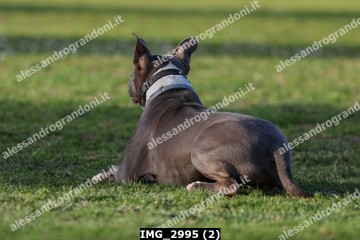 IMG_2995 (2).jpg