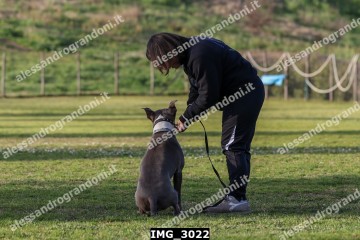 IMG_3022.jpg