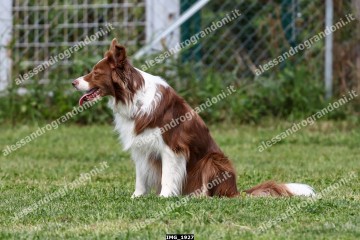 IMG_1927.jpg