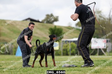 IMG_6560.jpg