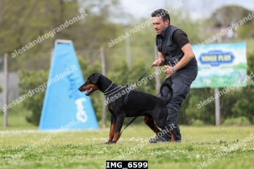 IMG_6599.jpg
