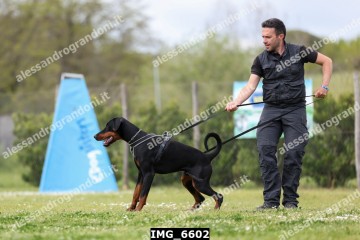 IMG_6602.jpg
