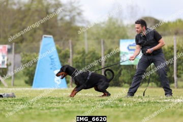 IMG_6620.jpg
