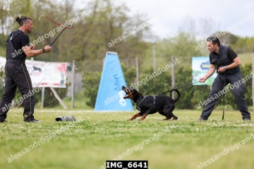 IMG_6641.jpg
