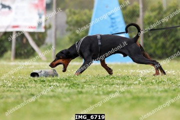 IMG_6719.jpg