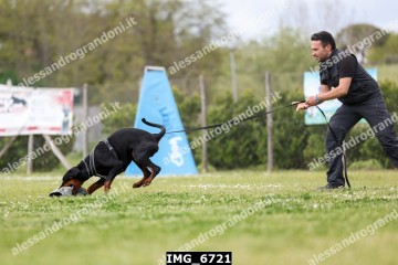 IMG_6721.jpg