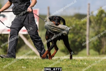 IMG_6772.jpg