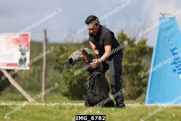 IMG_6782.jpg