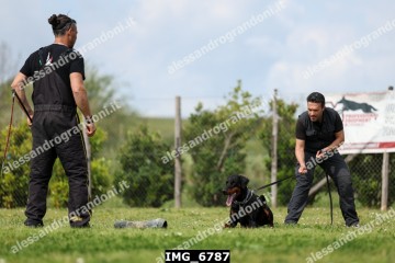 IMG_6787.jpg