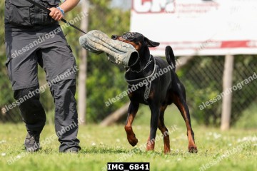 IMG_6841.jpg