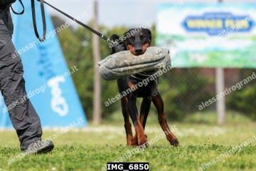 IMG_6850.jpg