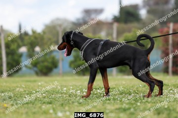 IMG_6876.jpg