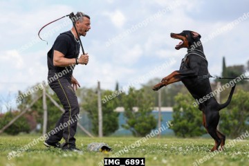 IMG_6891.jpg