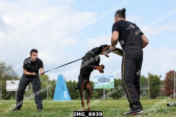 IMG_6939.jpg