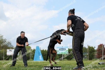 IMG_6940.jpg