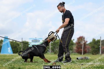 IMG_6996.jpg