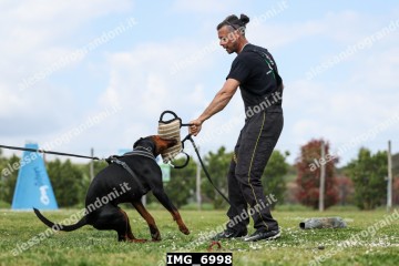 IMG_6998.jpg
