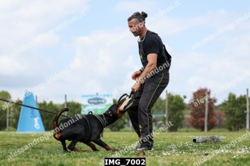 IMG_7002.jpg
