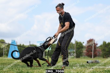 IMG_7006.jpg
