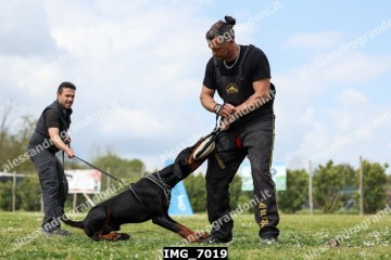IMG_7019.jpg
