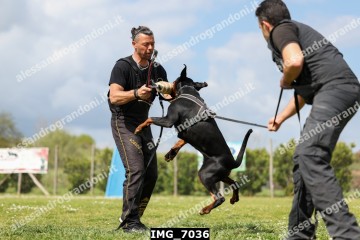 IMG_7036.jpg