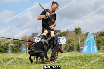 IMG_7066.jpg