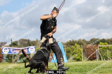 IMG_7071.jpg