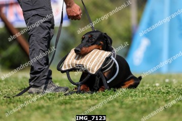 IMG_7123.jpg
