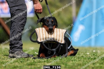 IMG_7136.jpg