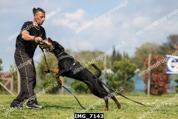 IMG_7143.jpg