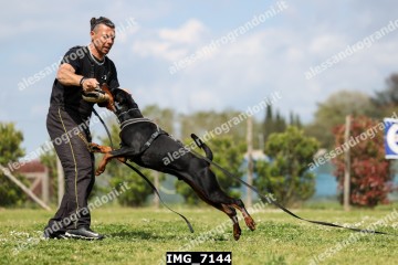 IMG_7144.jpg