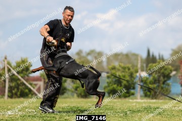 IMG_7146.jpg