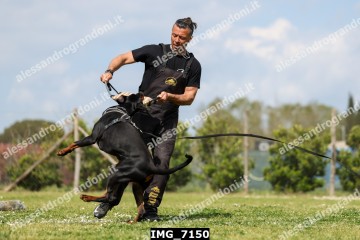 IMG_7150.jpg