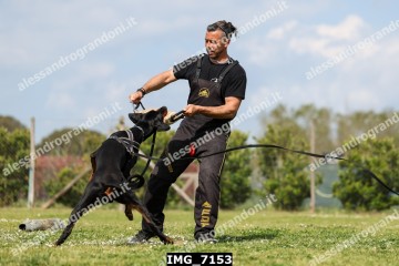 IMG_7153.jpg
